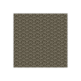 Tradewinds Shells Dolphin - A-816-C